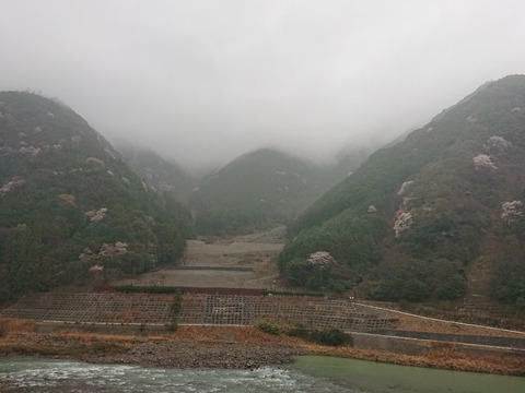 DSC_6387_copy_800x600