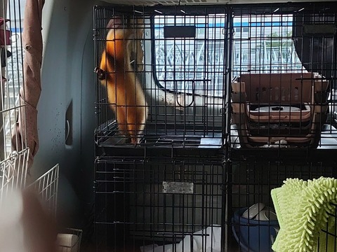 DSC_1690_copy_800x600