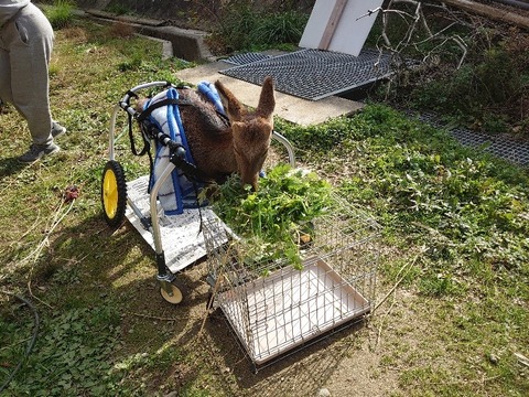 DSC_1556_copy_800x600