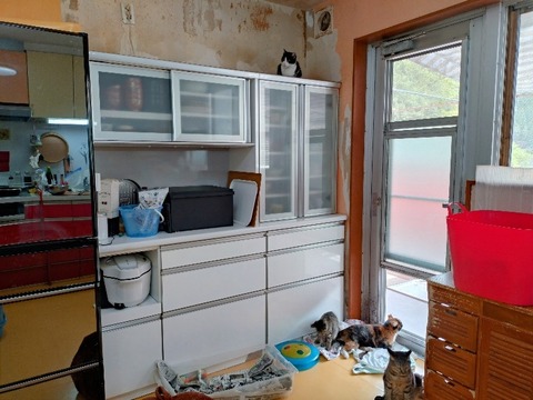 20240418_112211~2_copy_800x600