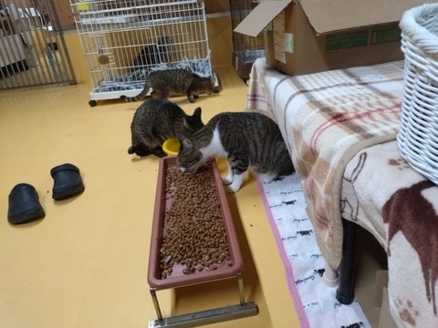 20251102_191329_copy_800x600