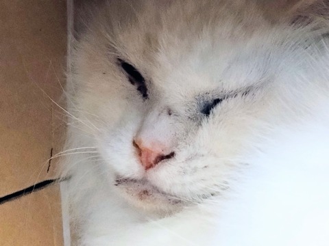 20251201_093223~2_copy_816x612