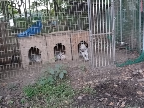 20251012_163346_copy_800x600