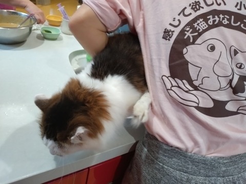 20260223_080212_copy_800x600_copy_800x600