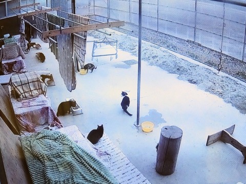 20260208_162637~2_copy_800x600