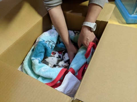 1616450033018_copy_800x600