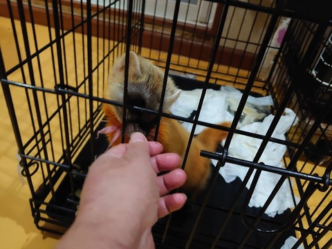 DSC_1722_copy_800x600
