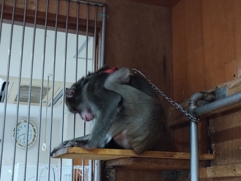 20260130_081741_copy_816x612