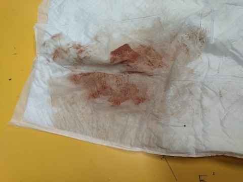 image_copy_800x600_2