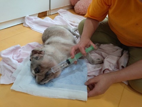 20250621_113942_copy_800x600