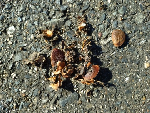 20251023_092846_copy_800x600