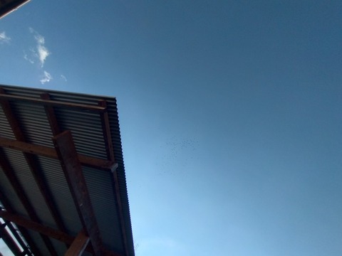 20251230_135643_copy_816x612