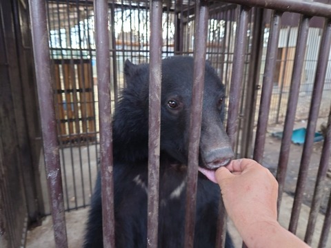 20230302_162251_copy_800x600