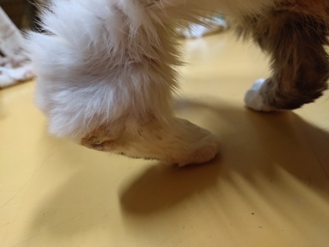 20260107_184506_copy_800x600