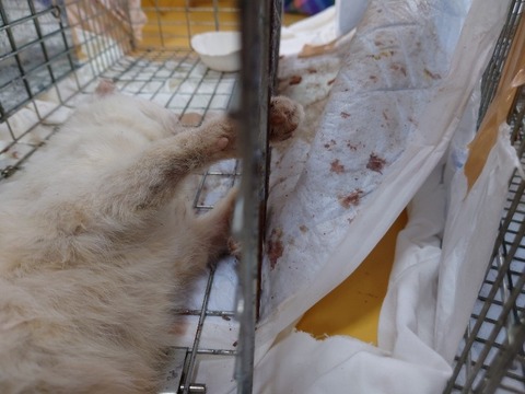 20230129_104534_copy_800x600