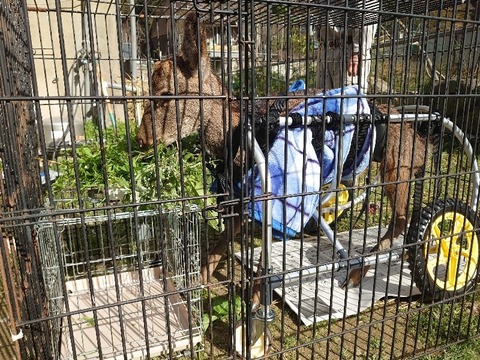 DSC_1558_copy_800x600