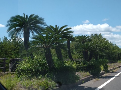 20240730_142513_copy_800x600