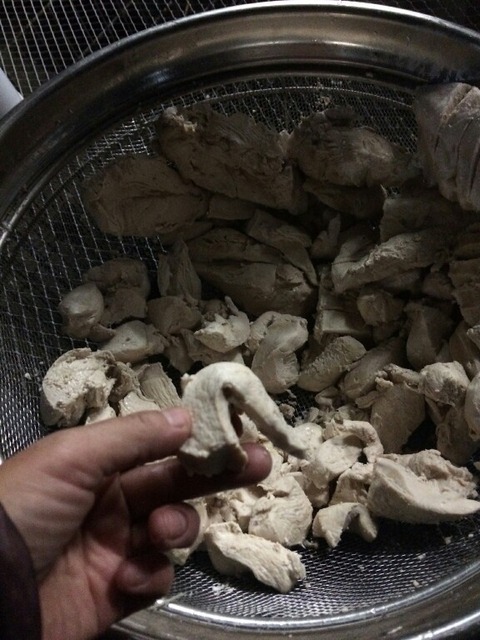1514189929248-576x768