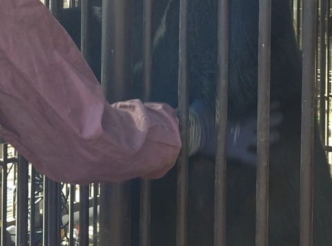 20260206_095039_copy_800x593