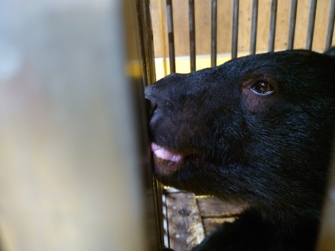 20231225_195418_copy_800x600