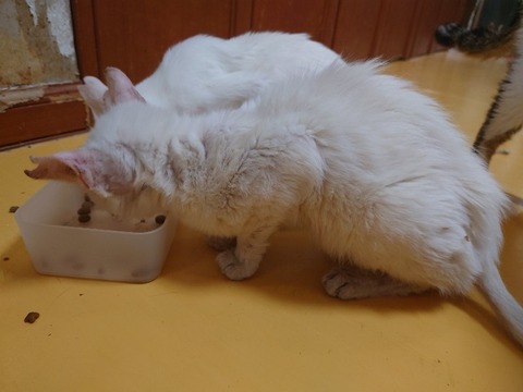 20230223_162612_copy_800x600_1