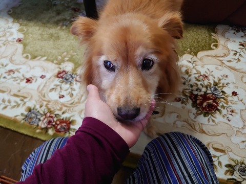 DSC_5648_copy_800x600