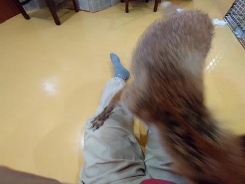 20260802_141207_copy_800x600