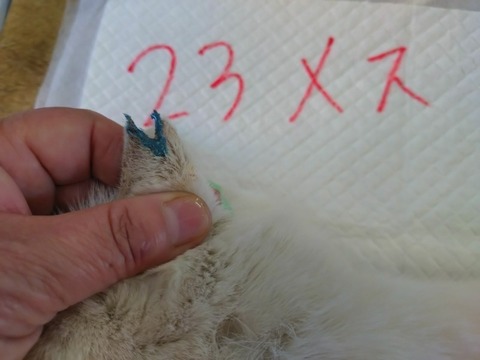 20260217_102512_copy_800x600