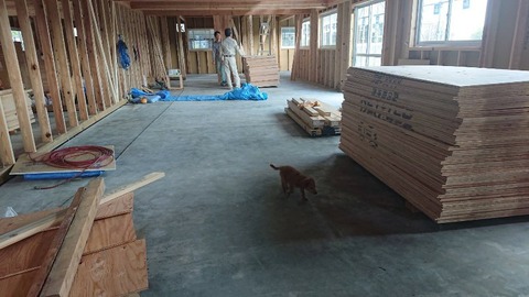 1572649962710-800x450