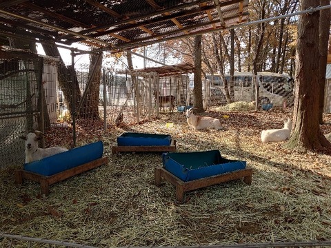 DSC_1340_copy_800x600