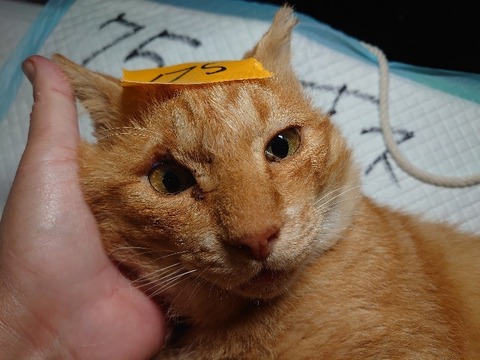 DSC_1644_copy_800x600