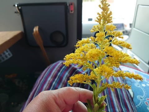 DSC_1687_copy_800x600