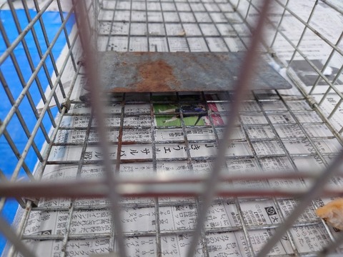 20230620_135024_copy_800x600