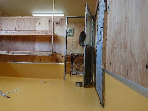 DSC_5861_copy_800x600