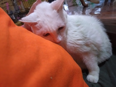 20251213_124949_copy_800x600