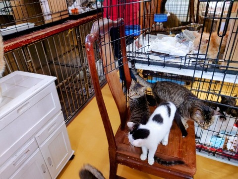 20230301_083910~2_copy_800x600