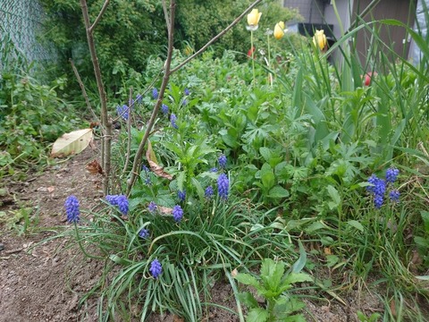 20230421_165831_copy_800x600