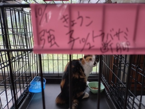 20251003_092556_copy_800x600