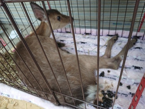 DSC_7071_copy_800x600