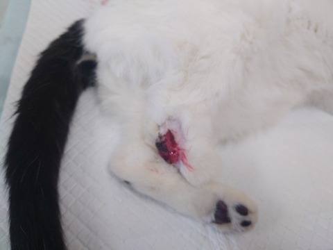 20240124_092509_copy_800x600