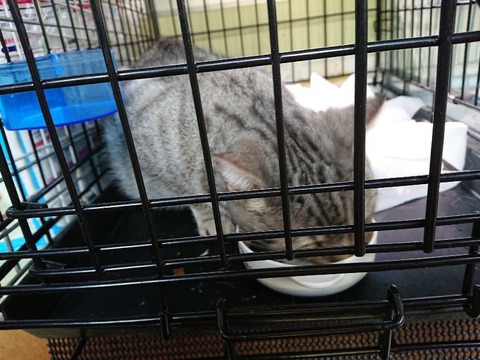 DSC_6769_copy_800x600