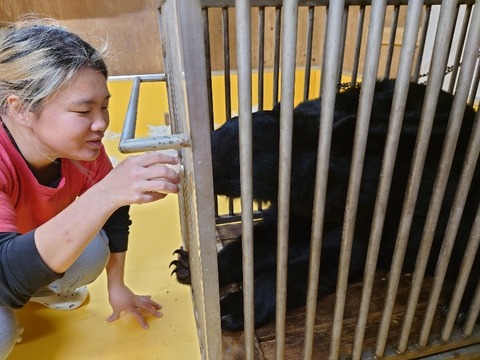 20231225_195411_copy_800x600