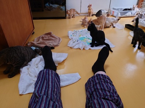 20230901_090023_copy_800x600