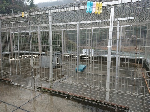 DSC_6386_copy_800x600