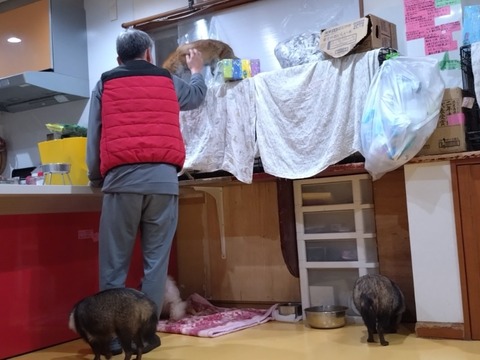 20251214_214452_copy_800x600