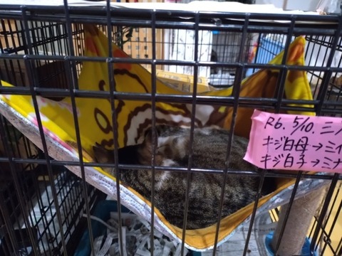 20251125_133100_copy_800x600