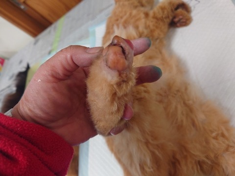 20240124_090539~2_copy_800x600