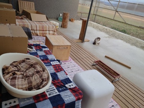 20230302_163742_copy_800x600_1