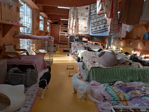 20251223_081201_copy_800x600_1