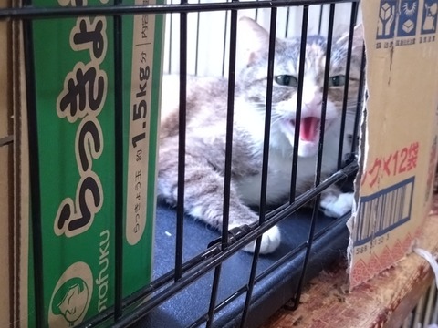 20250620_123007_copy_2048x1536